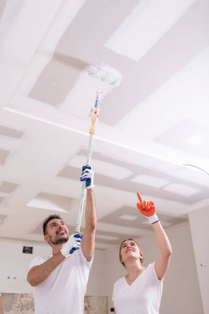 Best Black Mold Removal  in Nelsonville, OH
