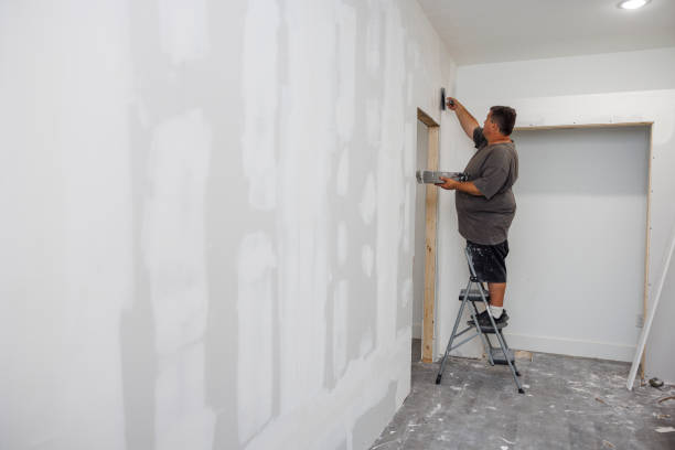 Best Mold-Related Health Consultation  in Nelsonville, OH