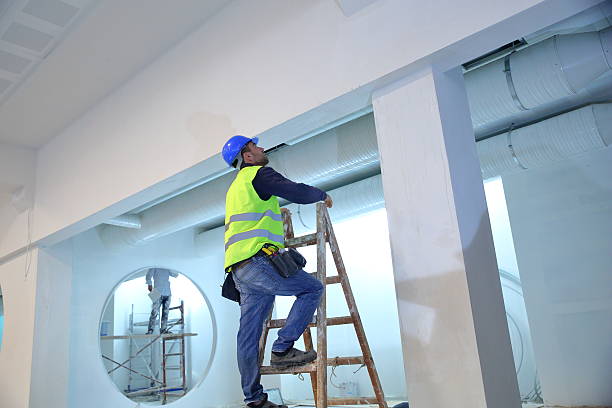 Best Mold Documentation for Insurance Claims  in Nelsonville, OH